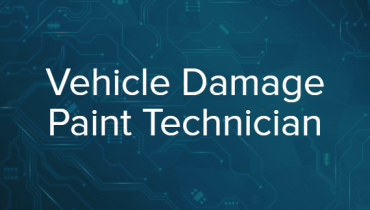 Vehicle Damage Paint Technician